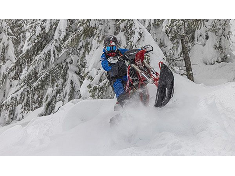 2023 Timbersled RIOT 120 Premium SNOWMOBILE