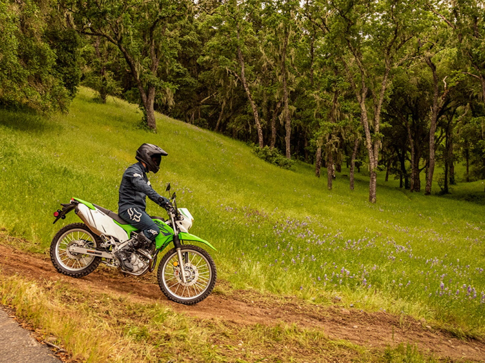 2022 Kawasaki KLX 230 S UTV