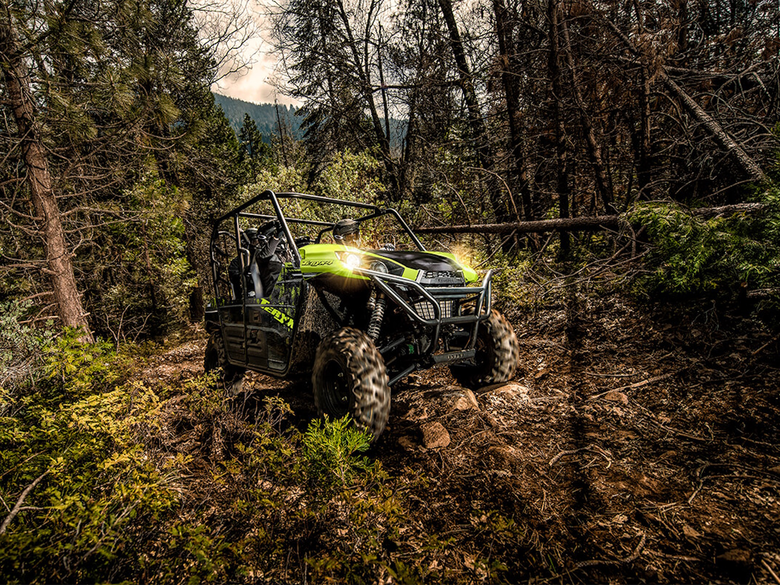 2025 Kawasaki Teryx4 UTV-Utility