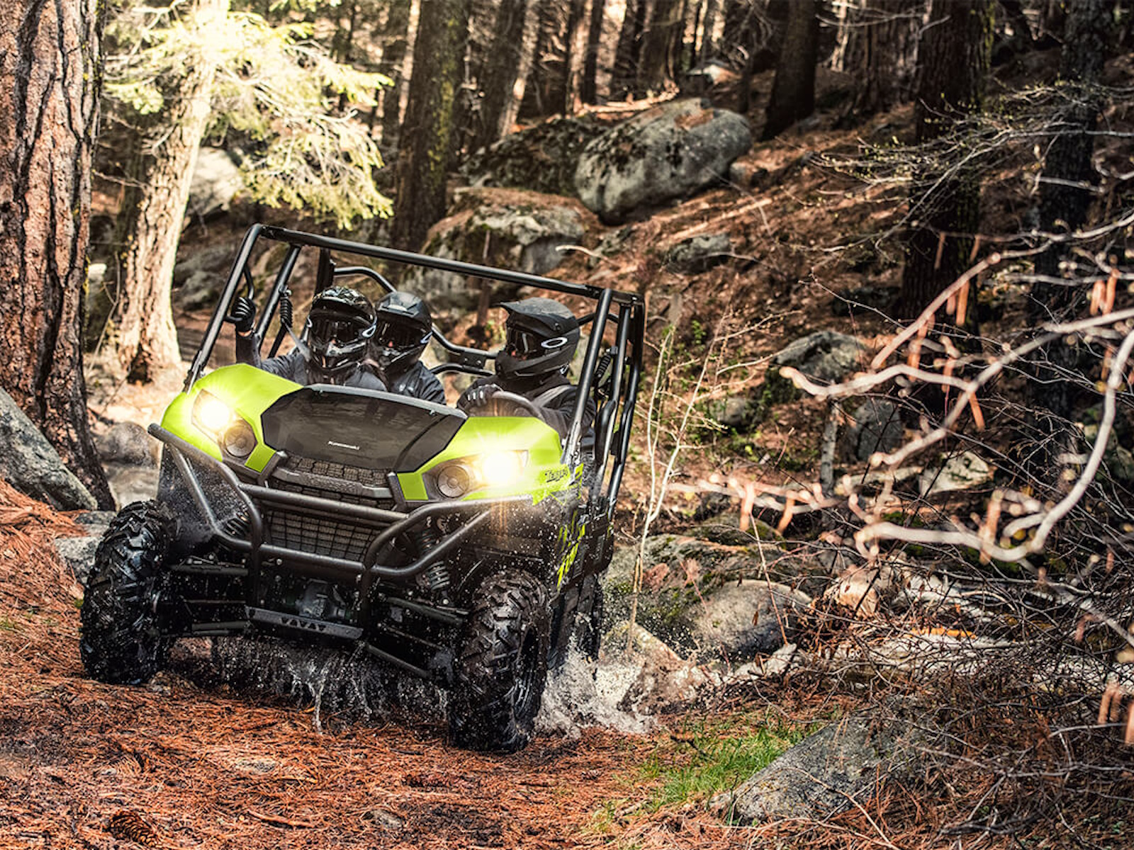 2025 Kawasaki Teryx4 UTV-Utility