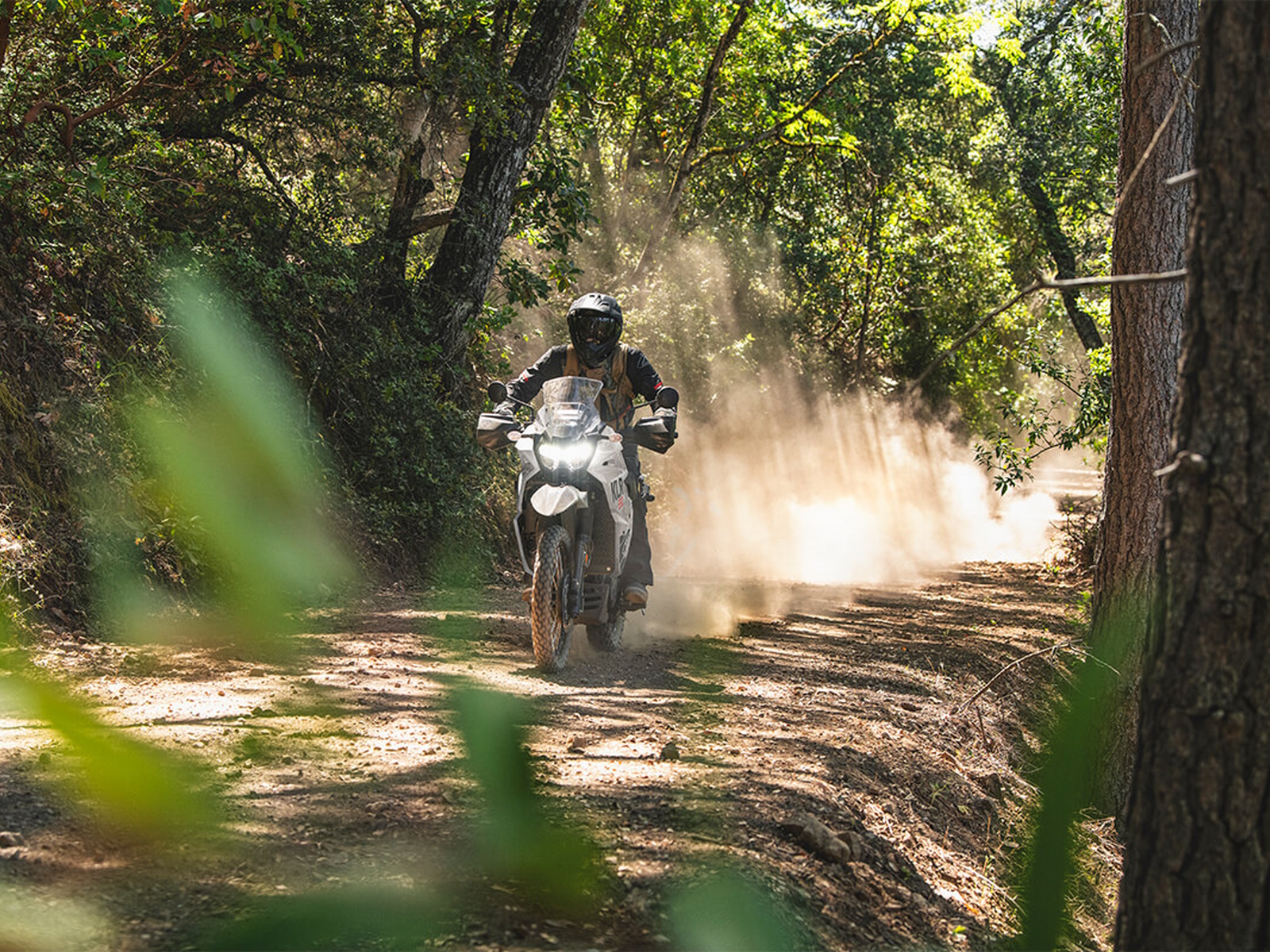 2024 Kawasaki KLR 650 Motorcycle / Scooter
