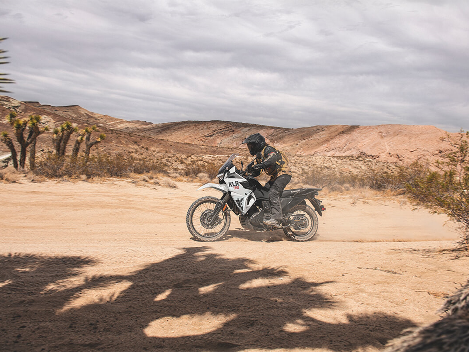 2024 Kawasaki KLR 650 Motorcycle / Scooter