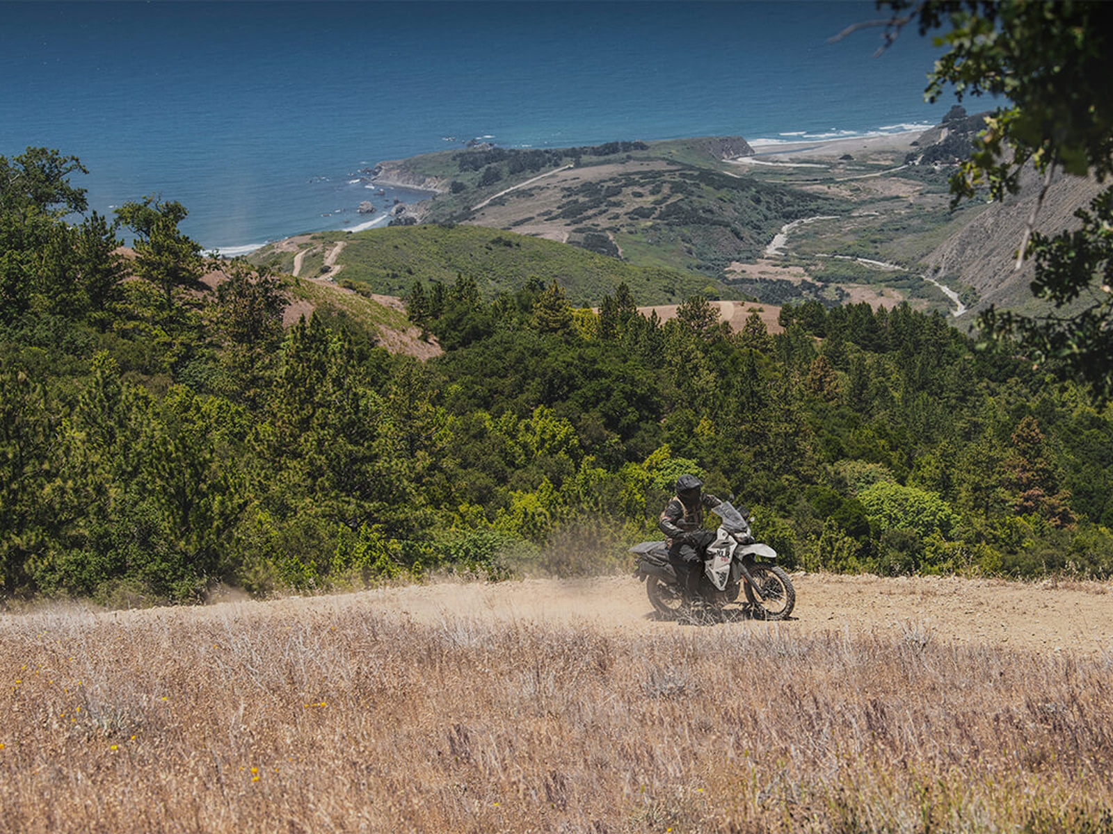 2024 Kawasaki KLR 650 Motorcycle / Scooter