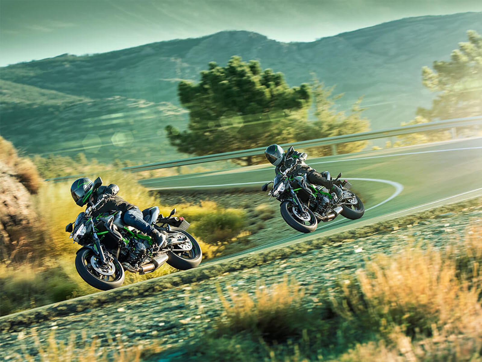 2025 Kawasaki Z650 Motorcycle