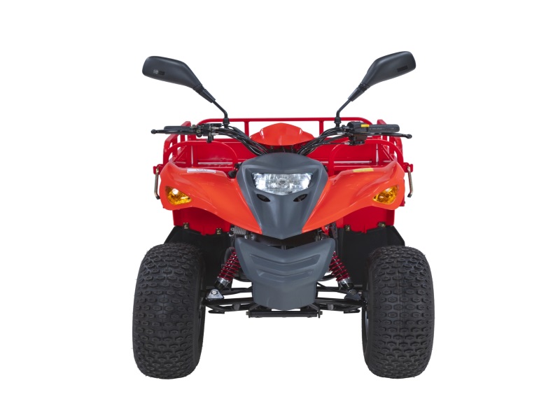 2021 Adly ATV-100TF All Terrain Vehicles