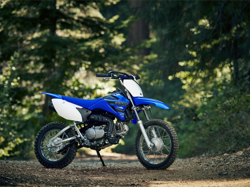 2021 Yamaha TT-R110E Motorcycle