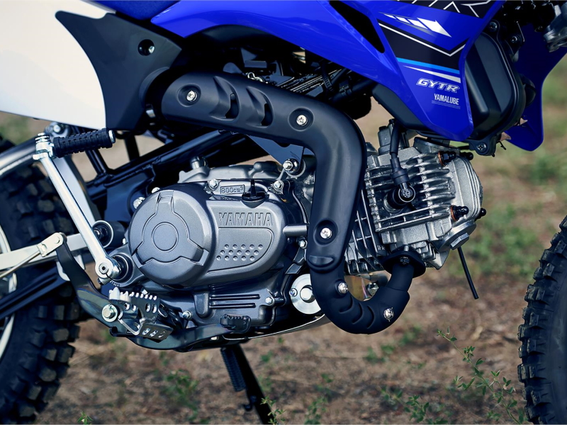 2021 Yamaha TT-R110E Motorcycle