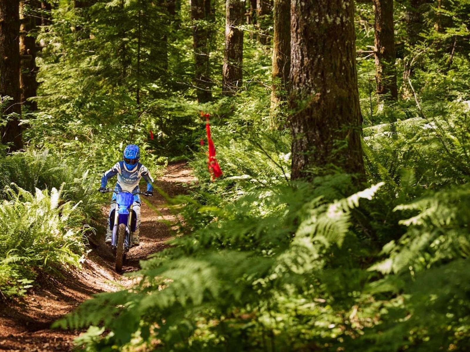 2025 Yamaha YZ250FX Motorcycle
