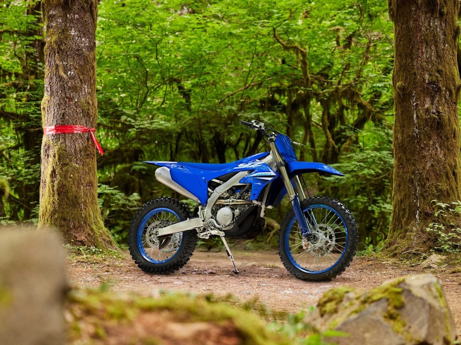2025 Yamaha YZ250FX Motorcycle