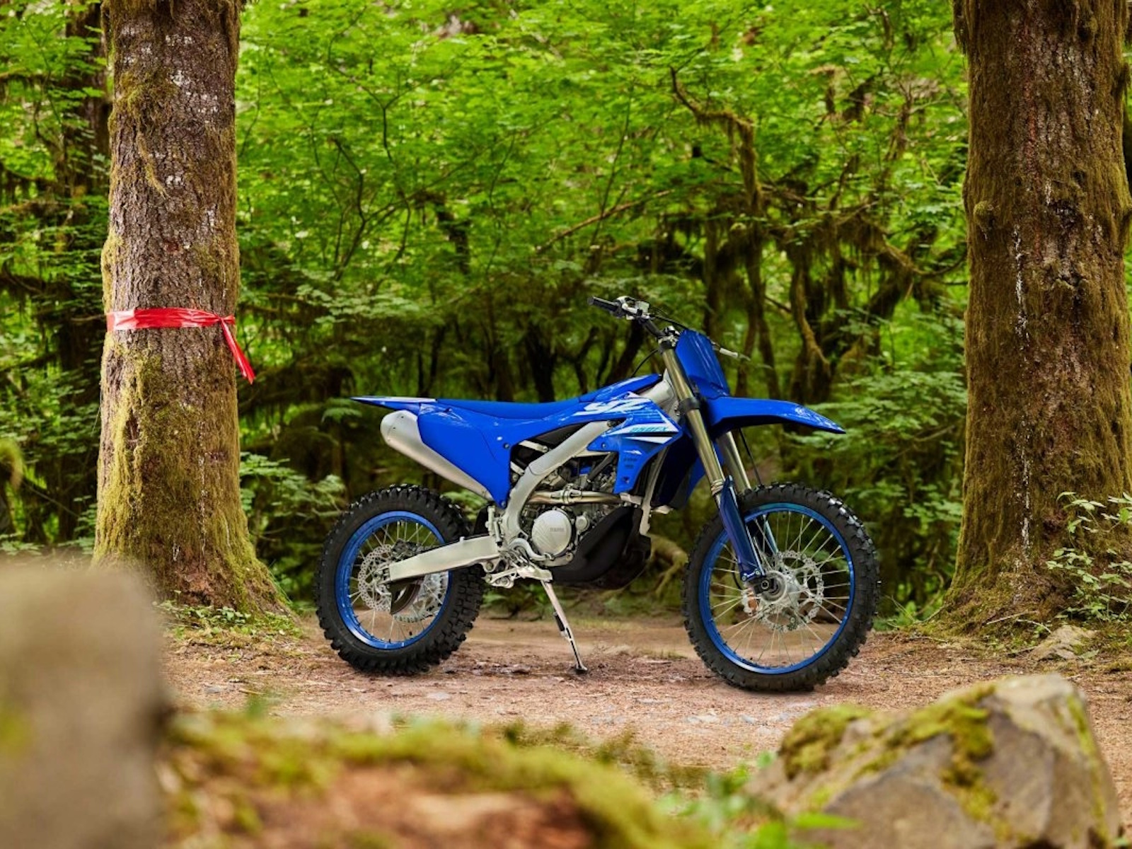 2025 Yamaha YZ250FX Motorcycle
