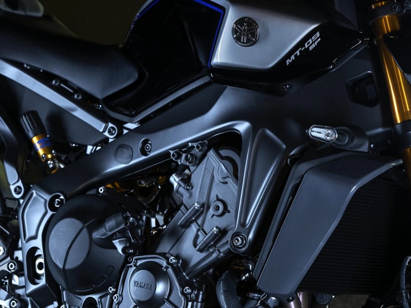 2025 Yamaha MT-09 SP Motorcycle