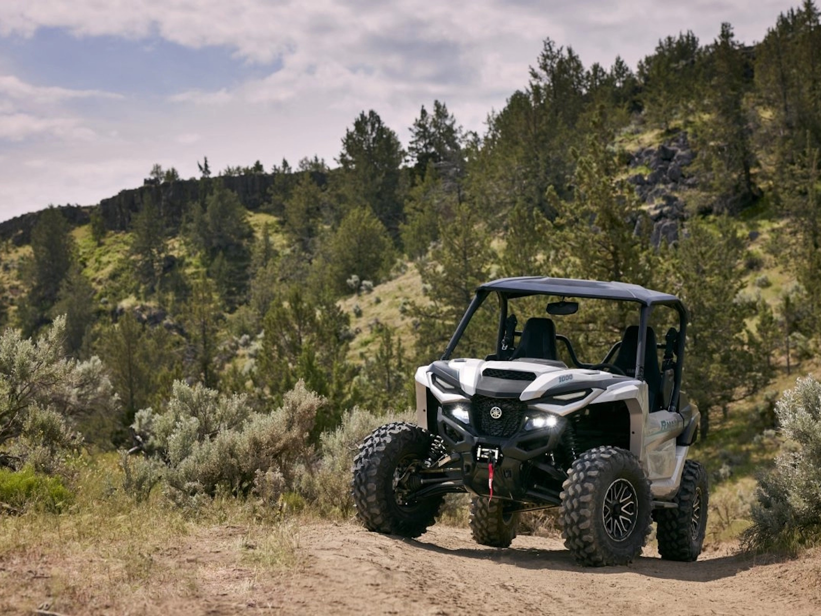 2024 Yamaha Wolverine RMAX2 LE Side x Side