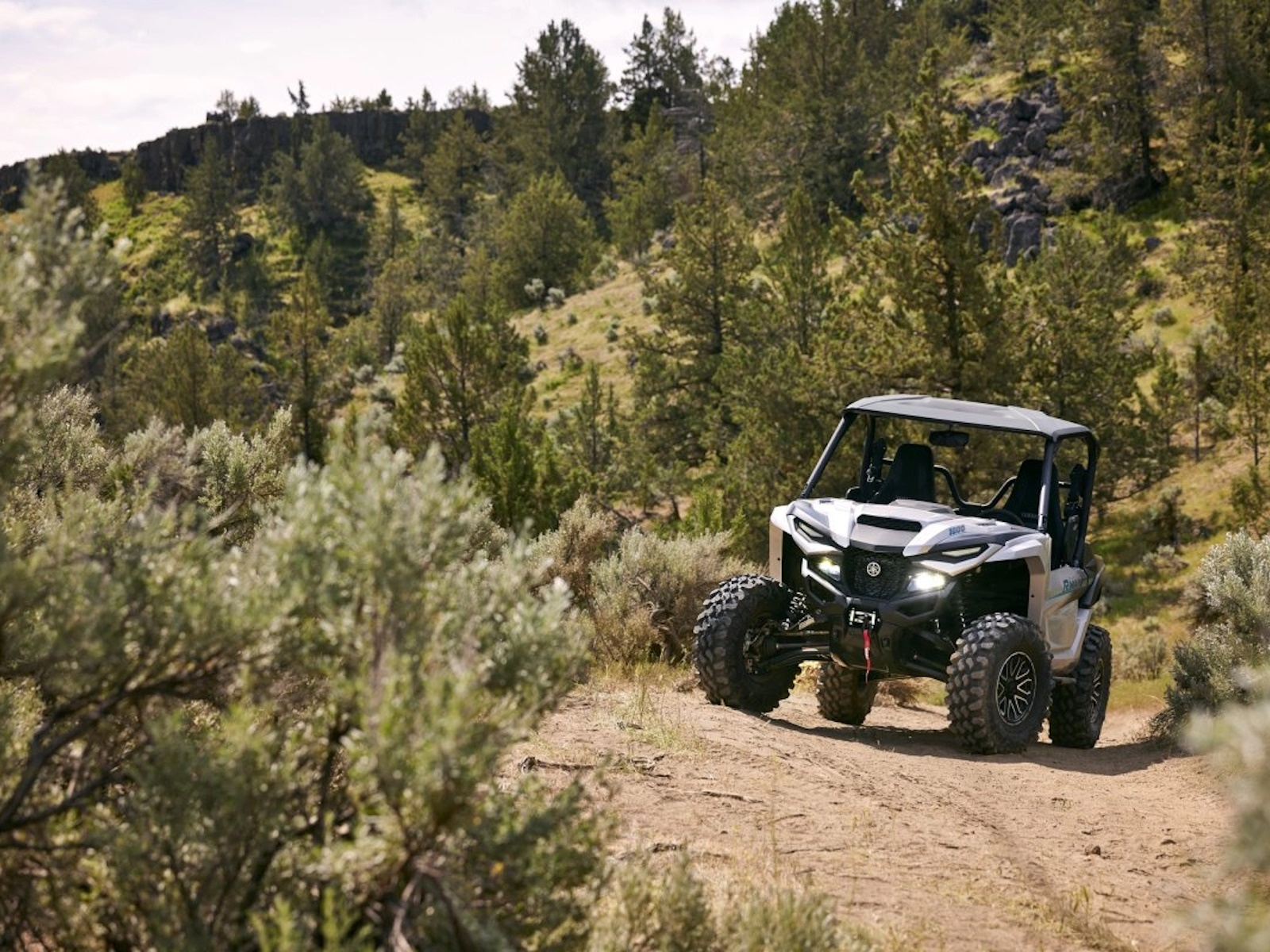 2024 Yamaha Wolverine RMAX2 LE Side x Side
