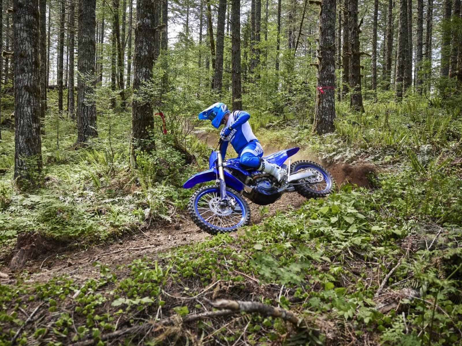 2024 Yamaha YZ450FX Motorcycle
