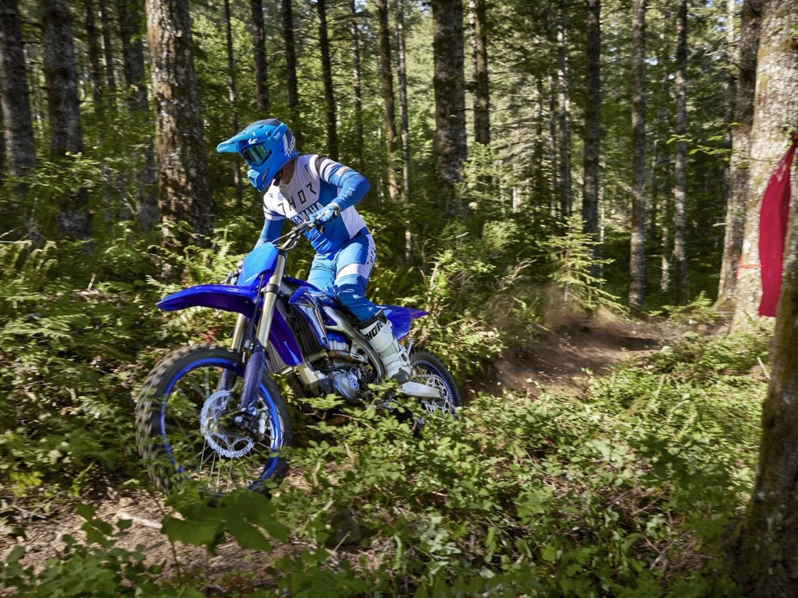 2024 Yamaha YZ450FX Motorcycle