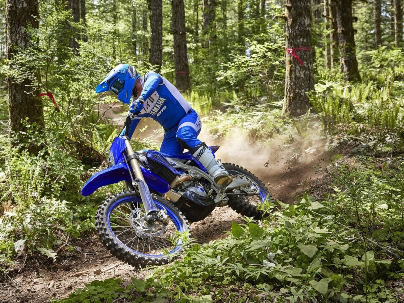 2024 Yamaha YZ450FX Motorcycle