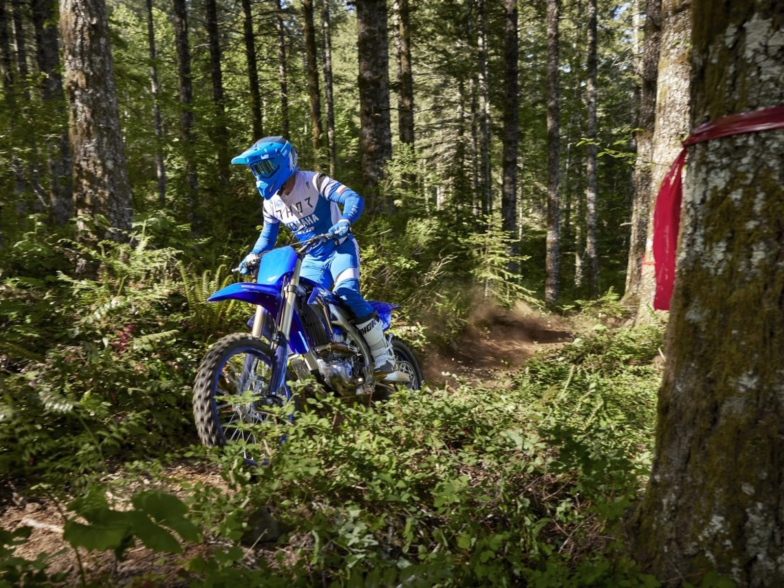 2024 Yamaha YZ450FX Motorcycle