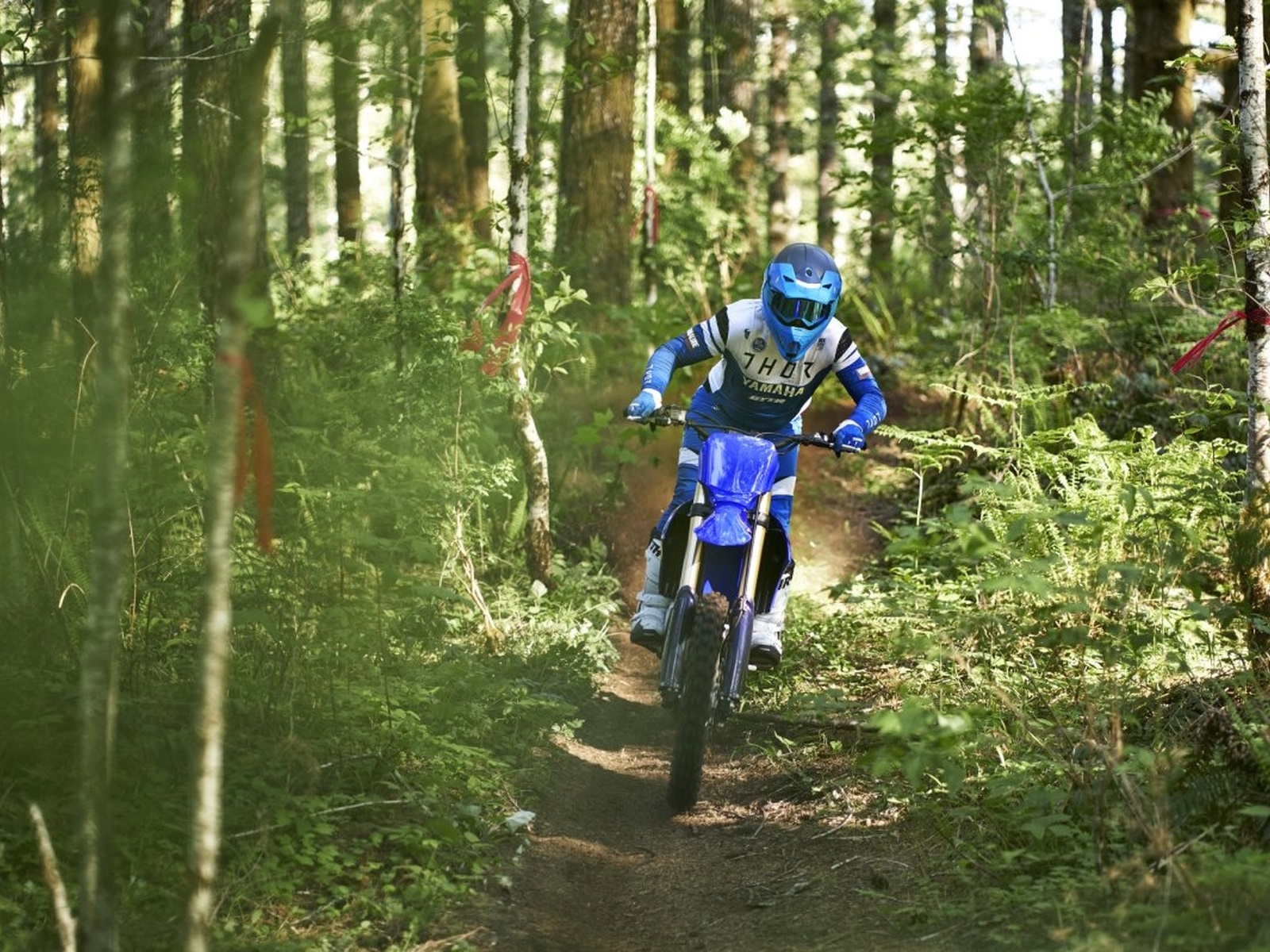 2024 Yamaha YZ450FX Motorcycle