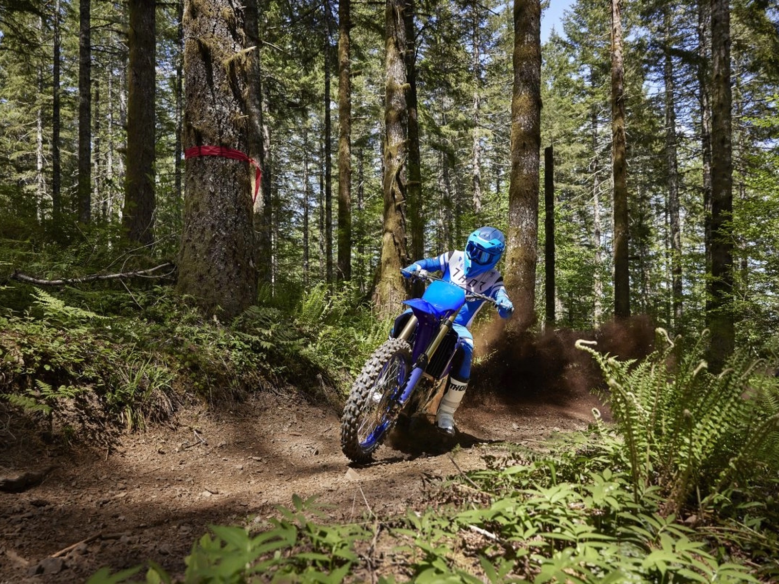 2024 Yamaha YZ450FX Motorcycle