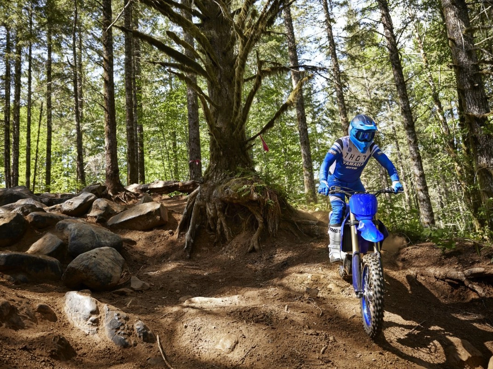2024 Yamaha YZ450FX Motorcycle