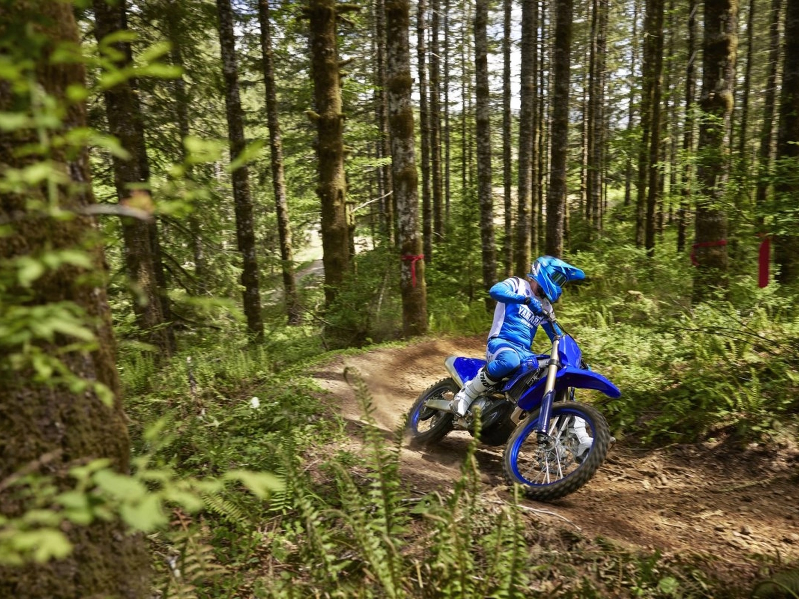 2024 Yamaha YZ450FX Motorcycle