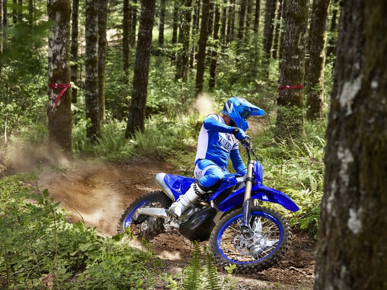 2024 Yamaha YZ450FX Motorcycle
