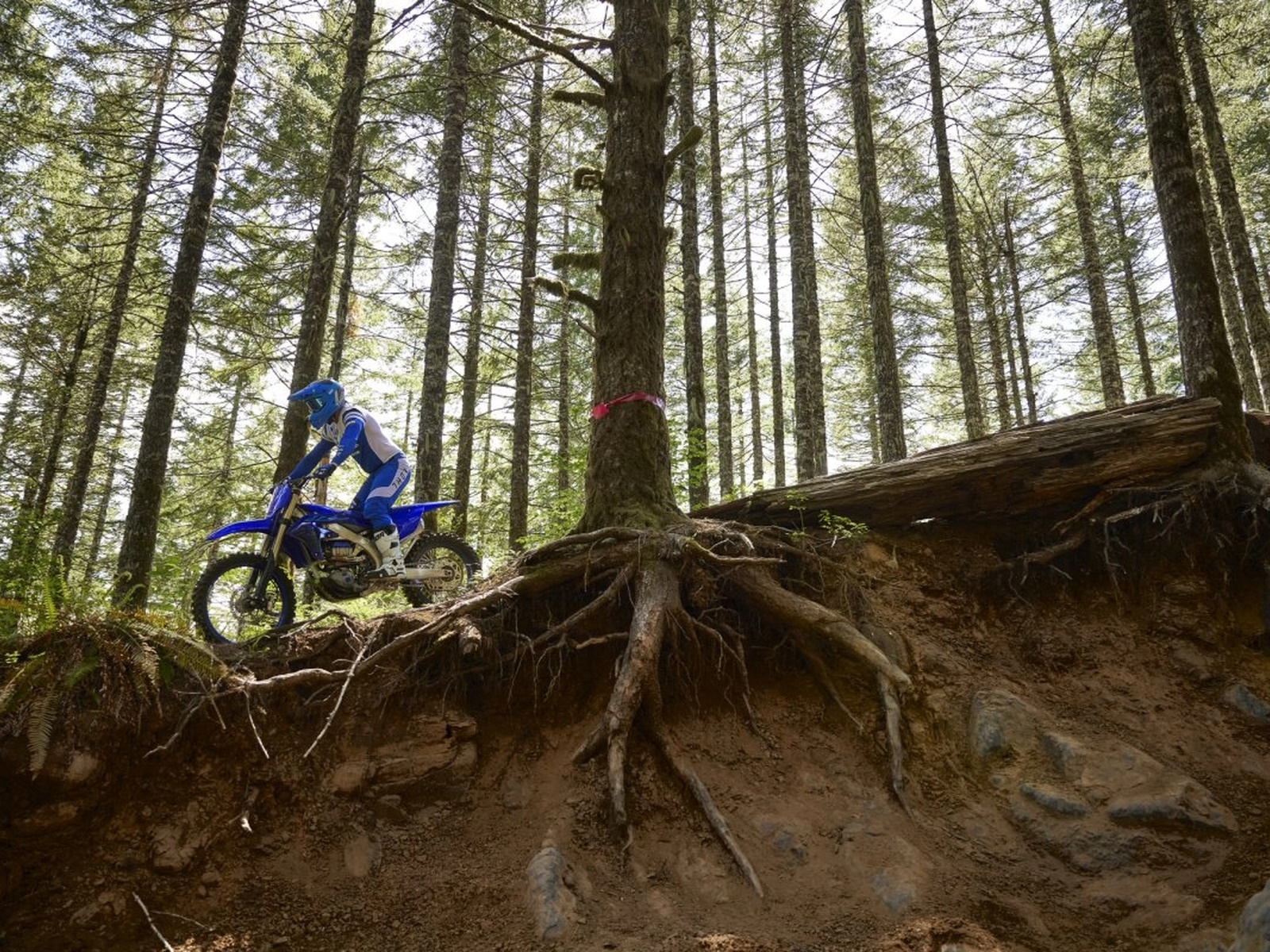 2024 Yamaha YZ450FX Motorcycle