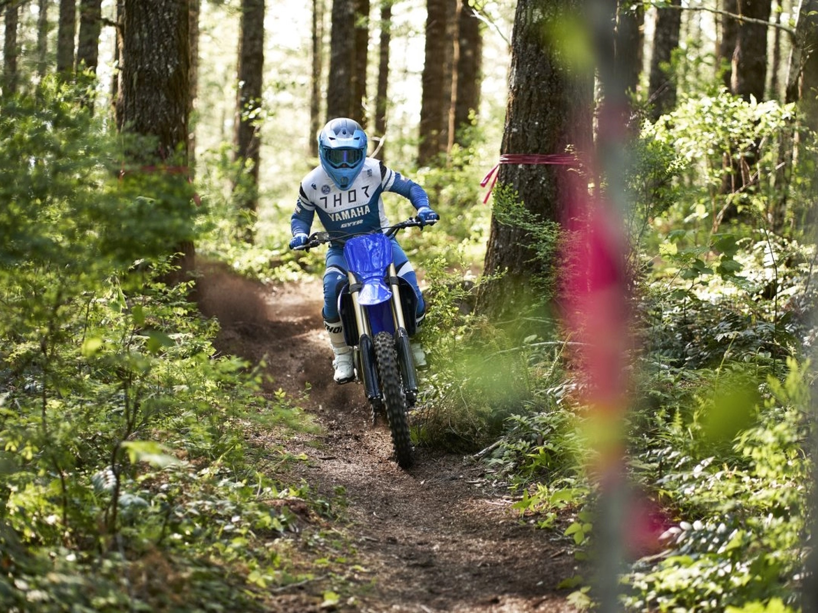 2024 Yamaha YZ450FX Motorcycle