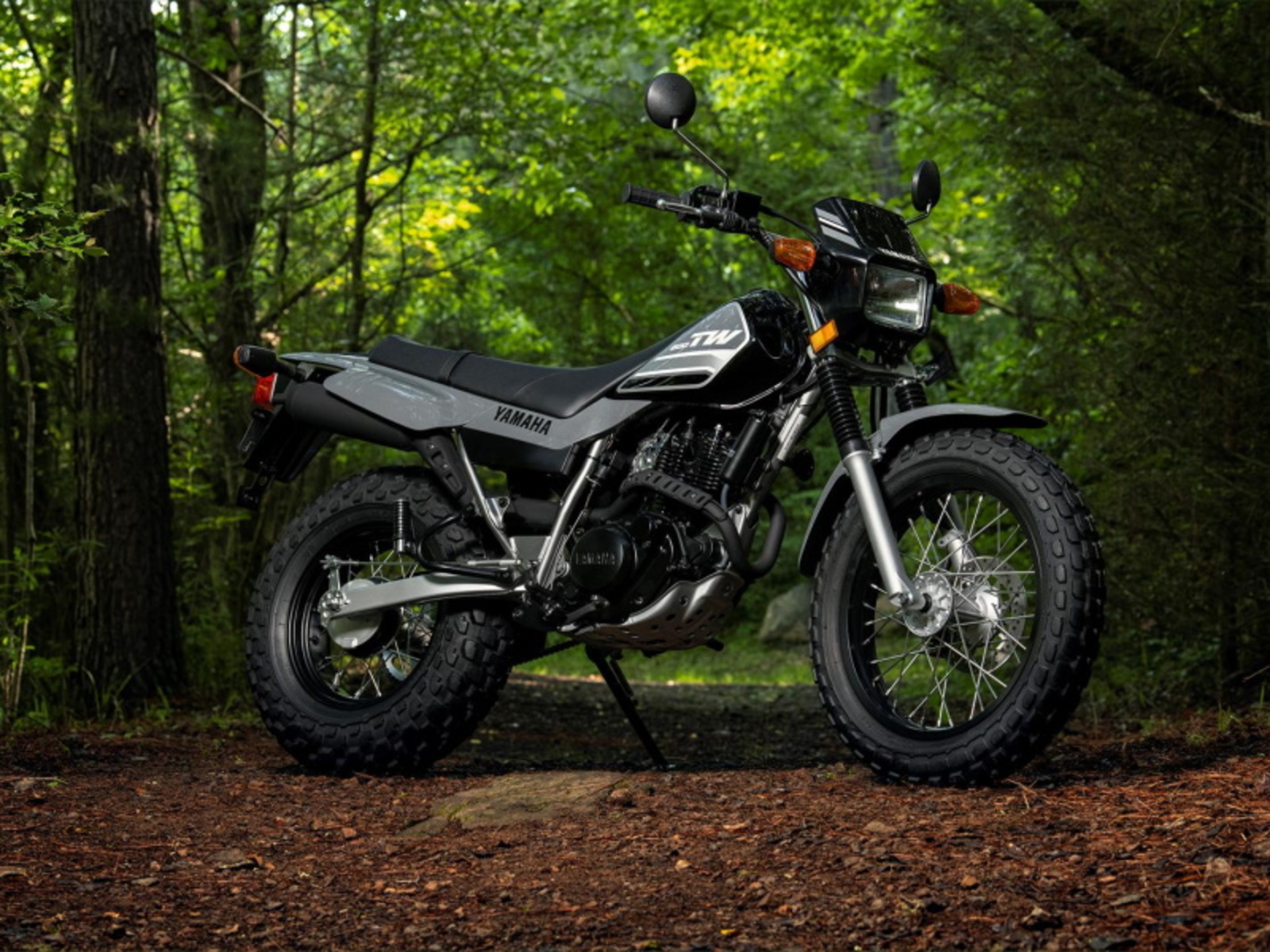 2026 Yamaha TW200 Motorcycle