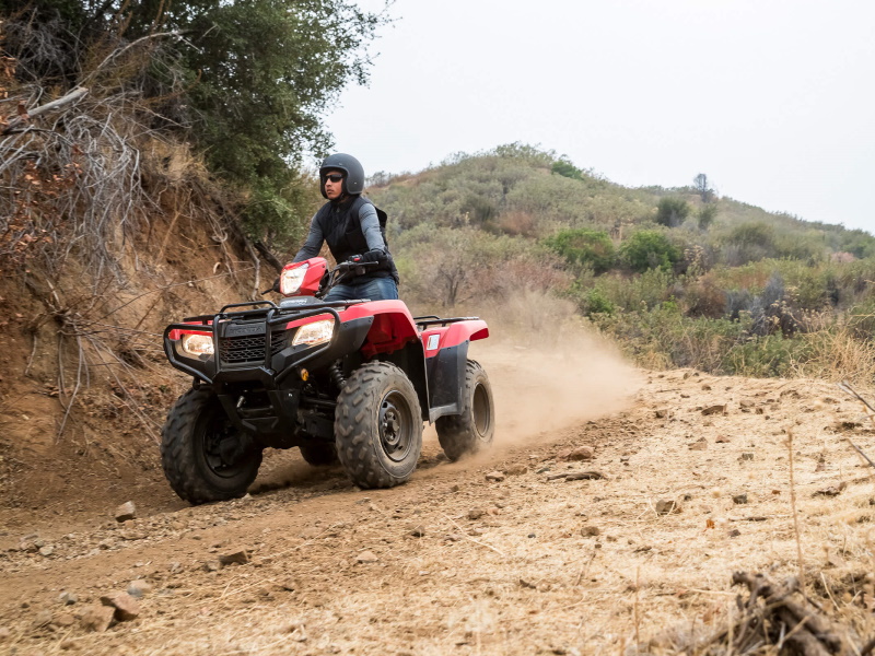 2022 Honda FourTrax Foreman 4x4 ATV