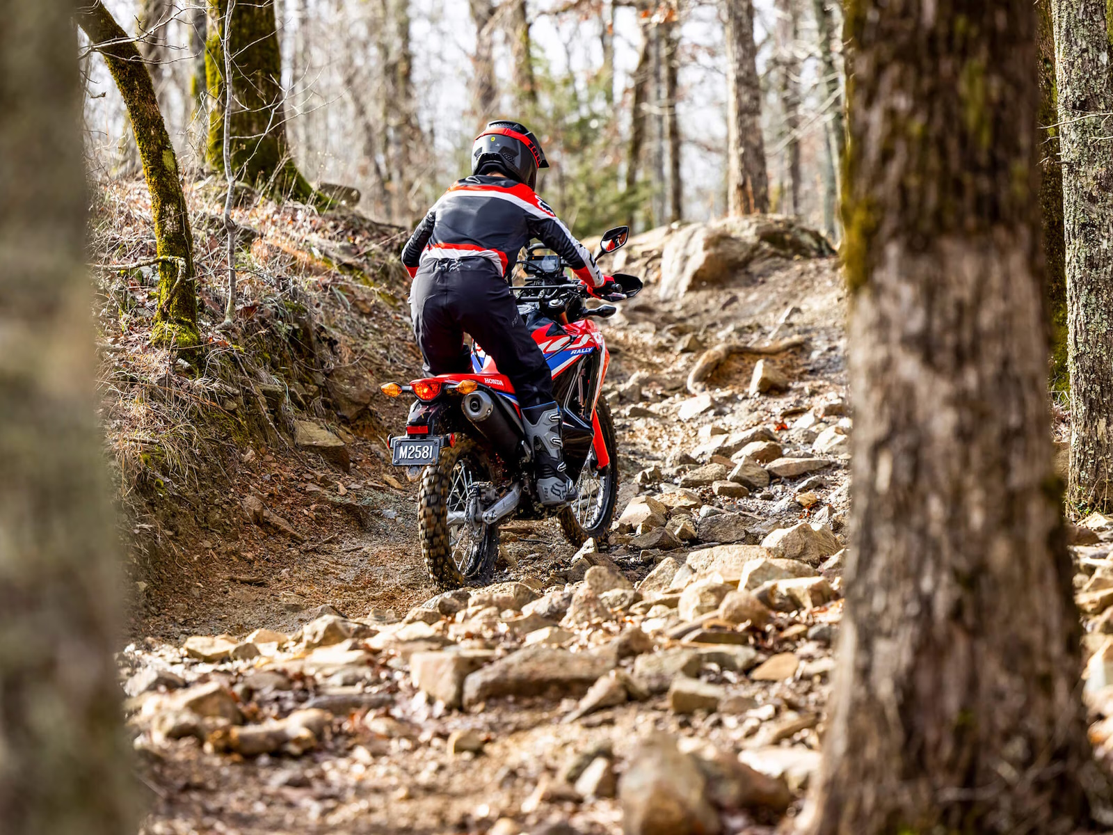 2024 Honda CRF300L RALLY Motorcycle