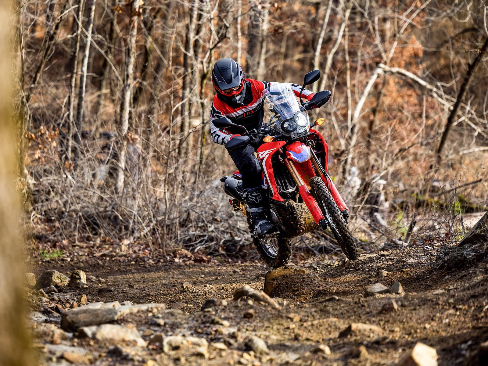 2024 Honda CRF300L RALLY Motorcycle