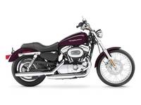 2006 Harley-Davidson® Sportster® 1200 Custom Motorcycle
