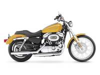 2006 Harley-Davidson® Sportster® 1200 Custom Motorcycle