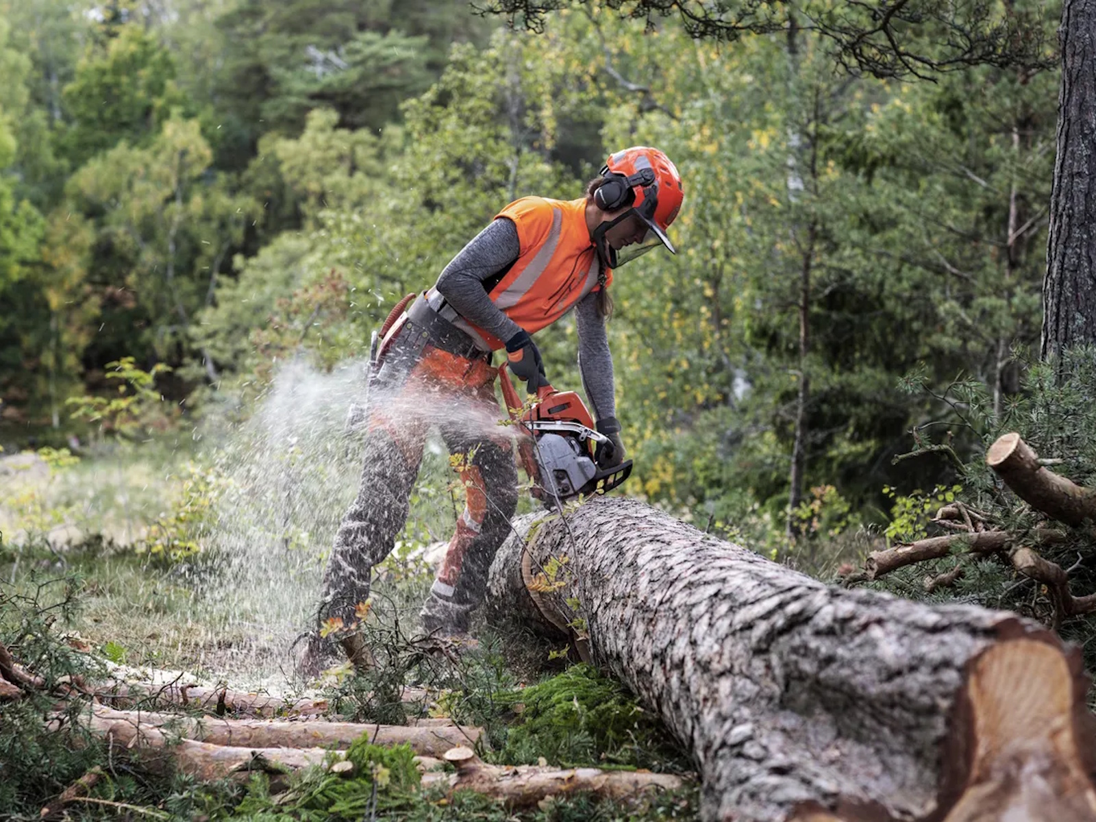 2026 Husqvarna Power 550 XP Mark II Chainsaw