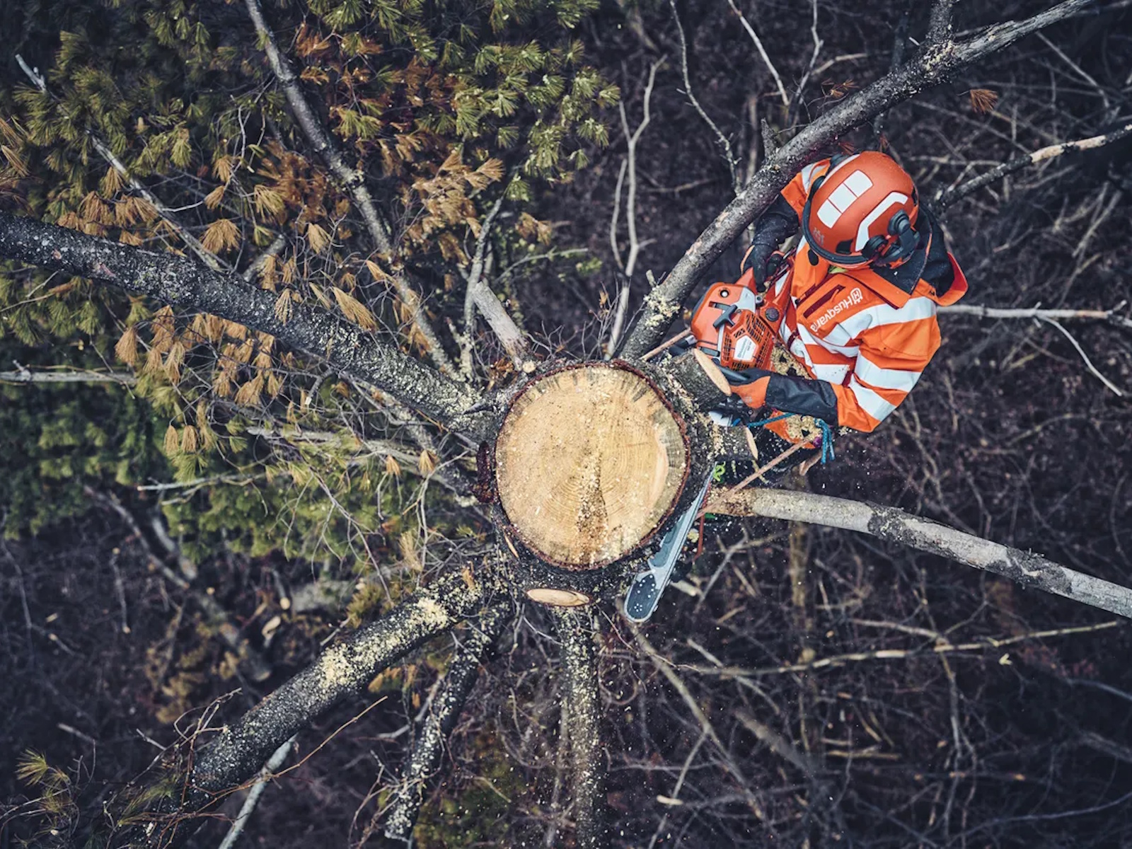 2026 Husqvarna Power 562 XP Mark II Chainsaw