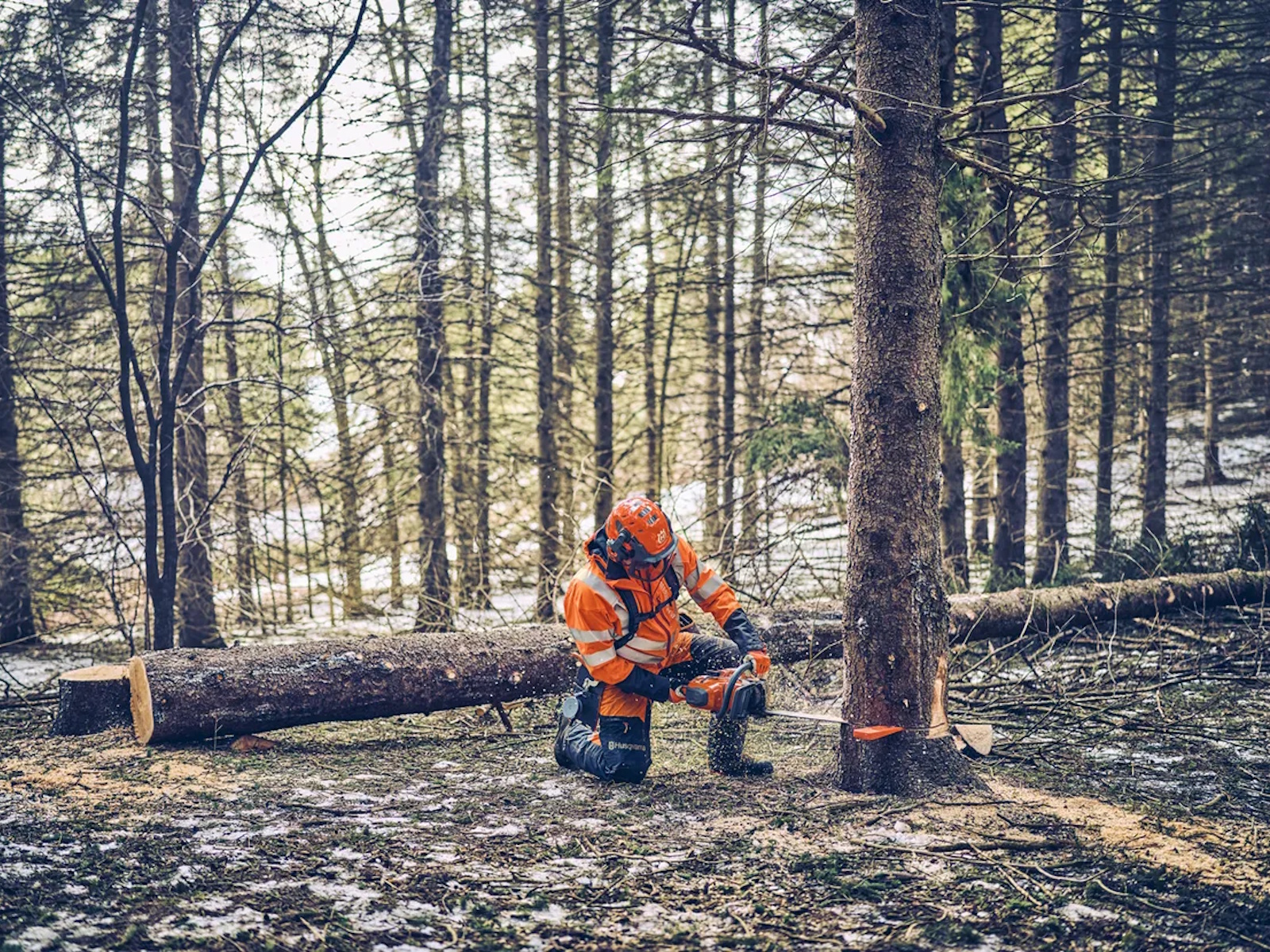 2026 Husqvarna Power 562 XP Mark II Chainsaw