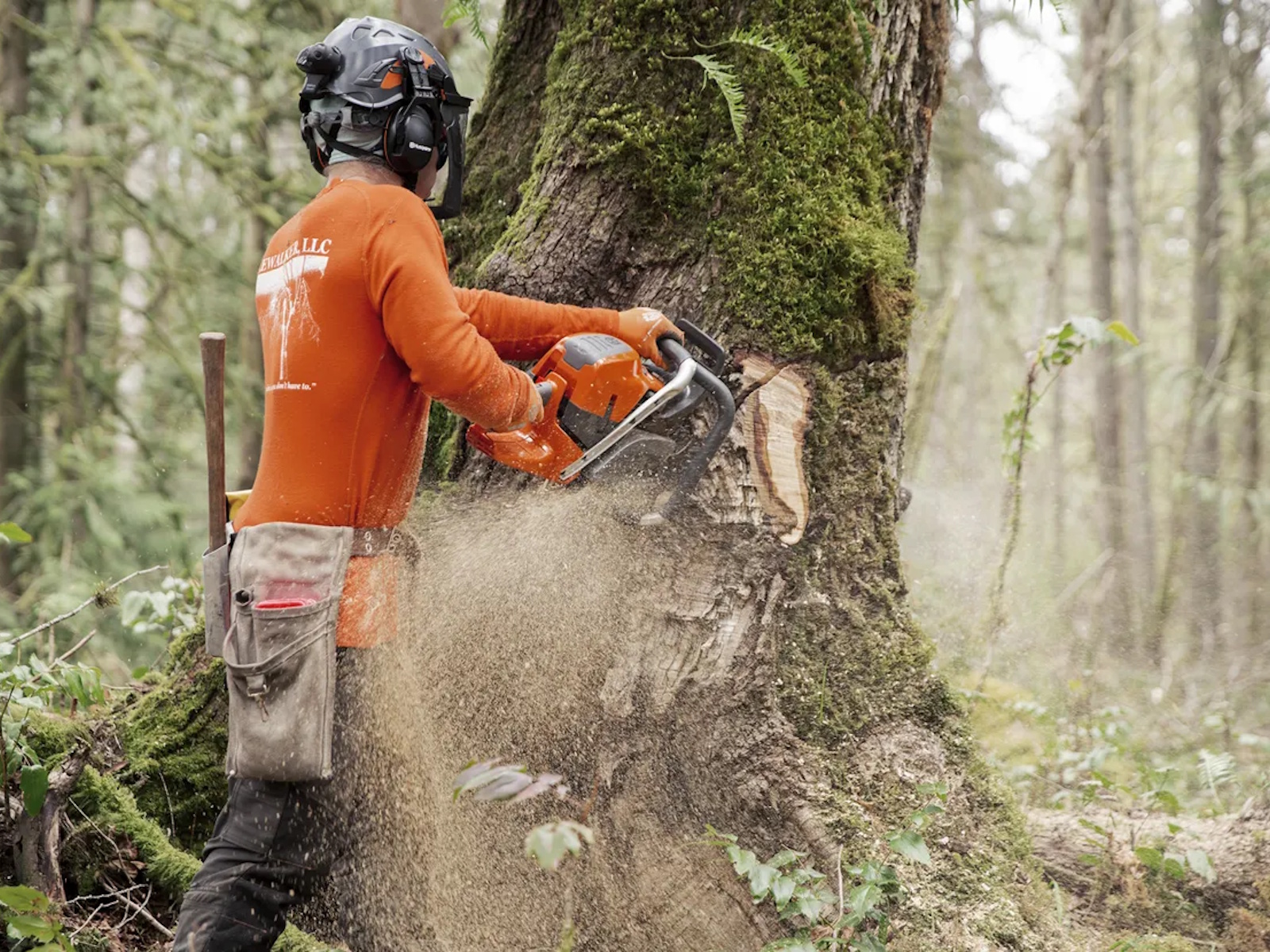 2026 Husqvarna Power 592 XP Chainsaw