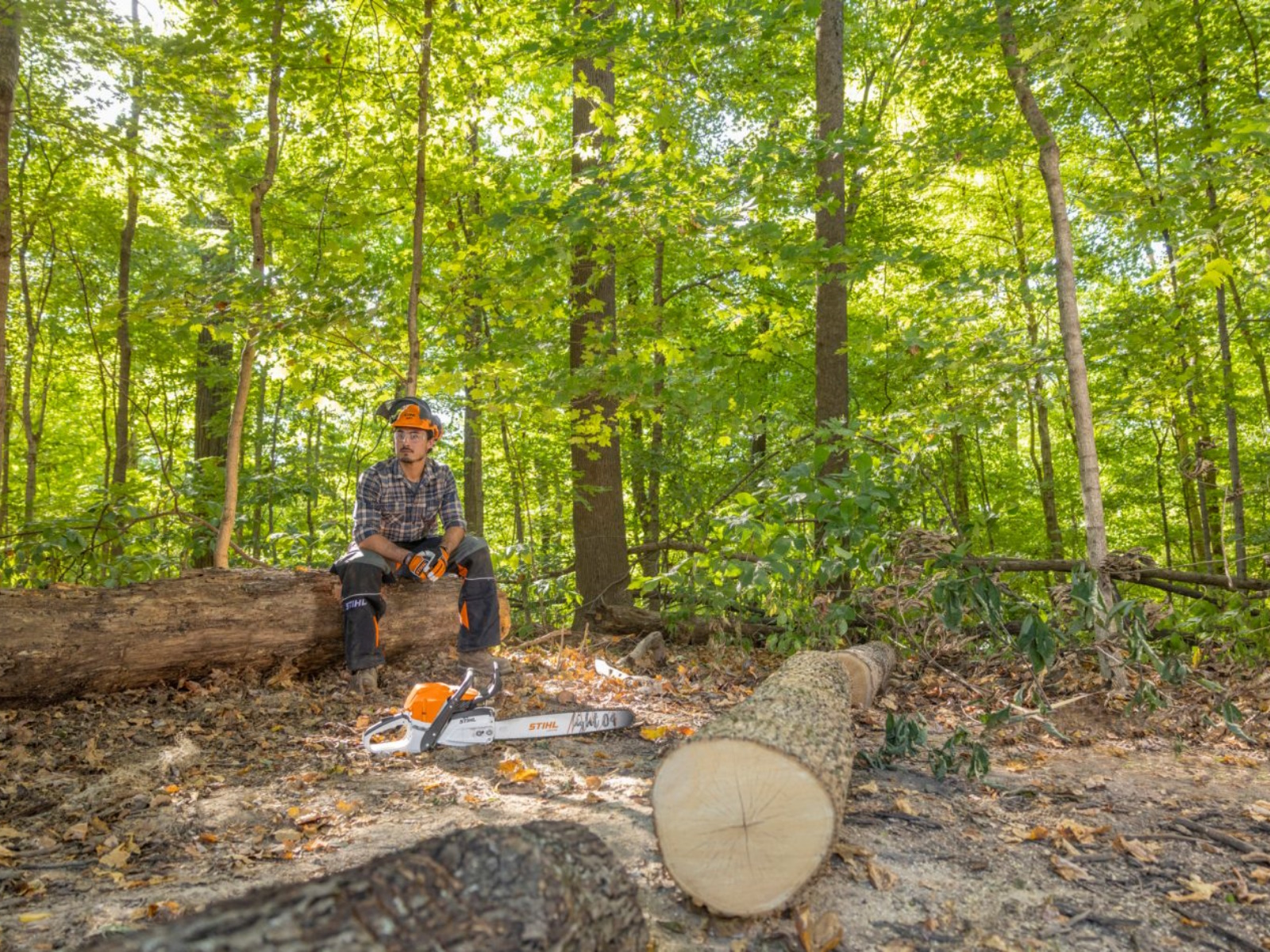 2025 Stihl MS 362 C-M Chainsaw