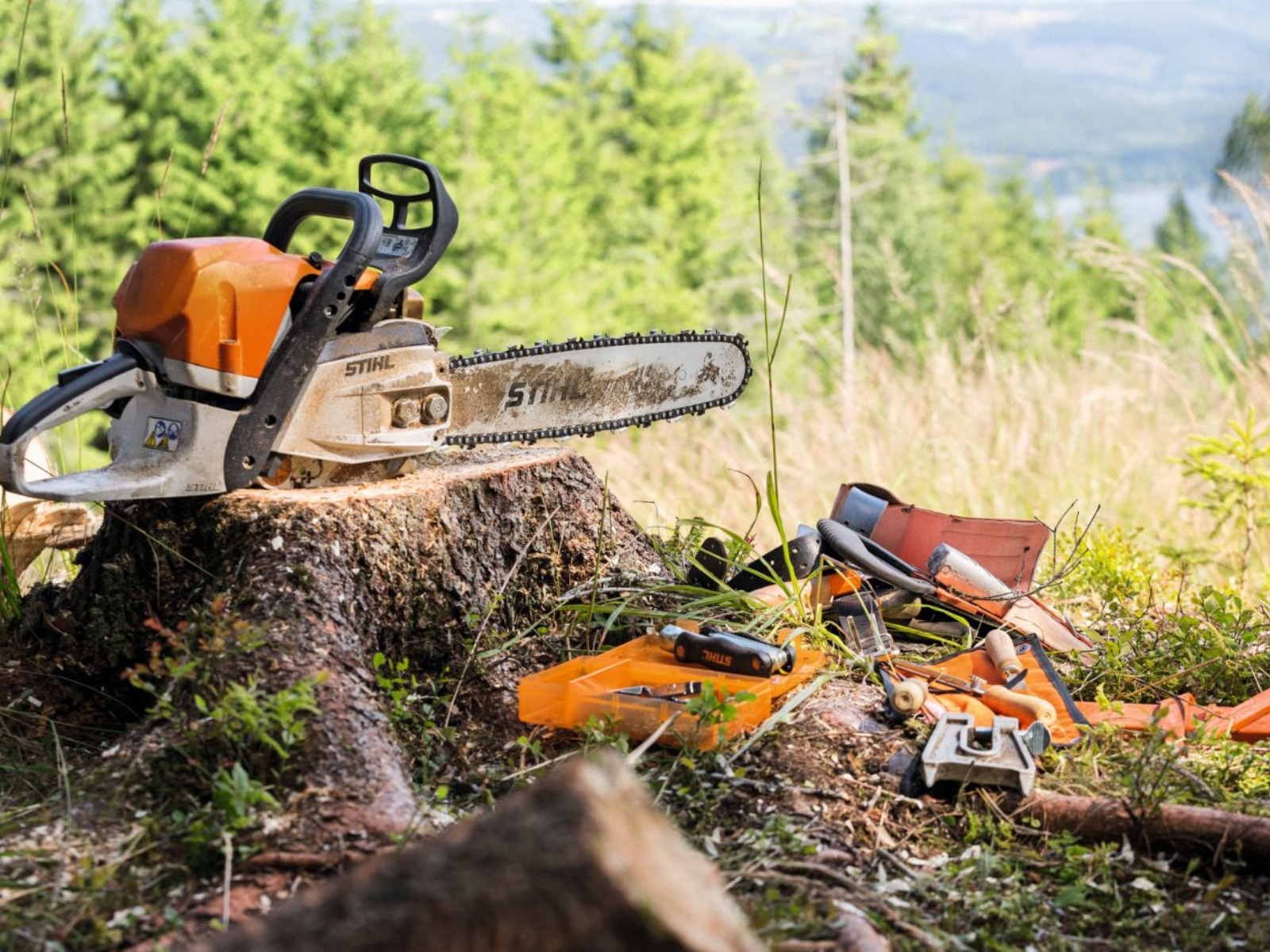 2025 Stihl MS 362 C-M Chainsaw