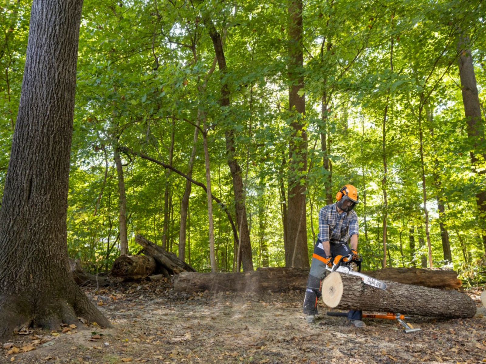 2025 Stihl MS 362 C-M Chainsaw