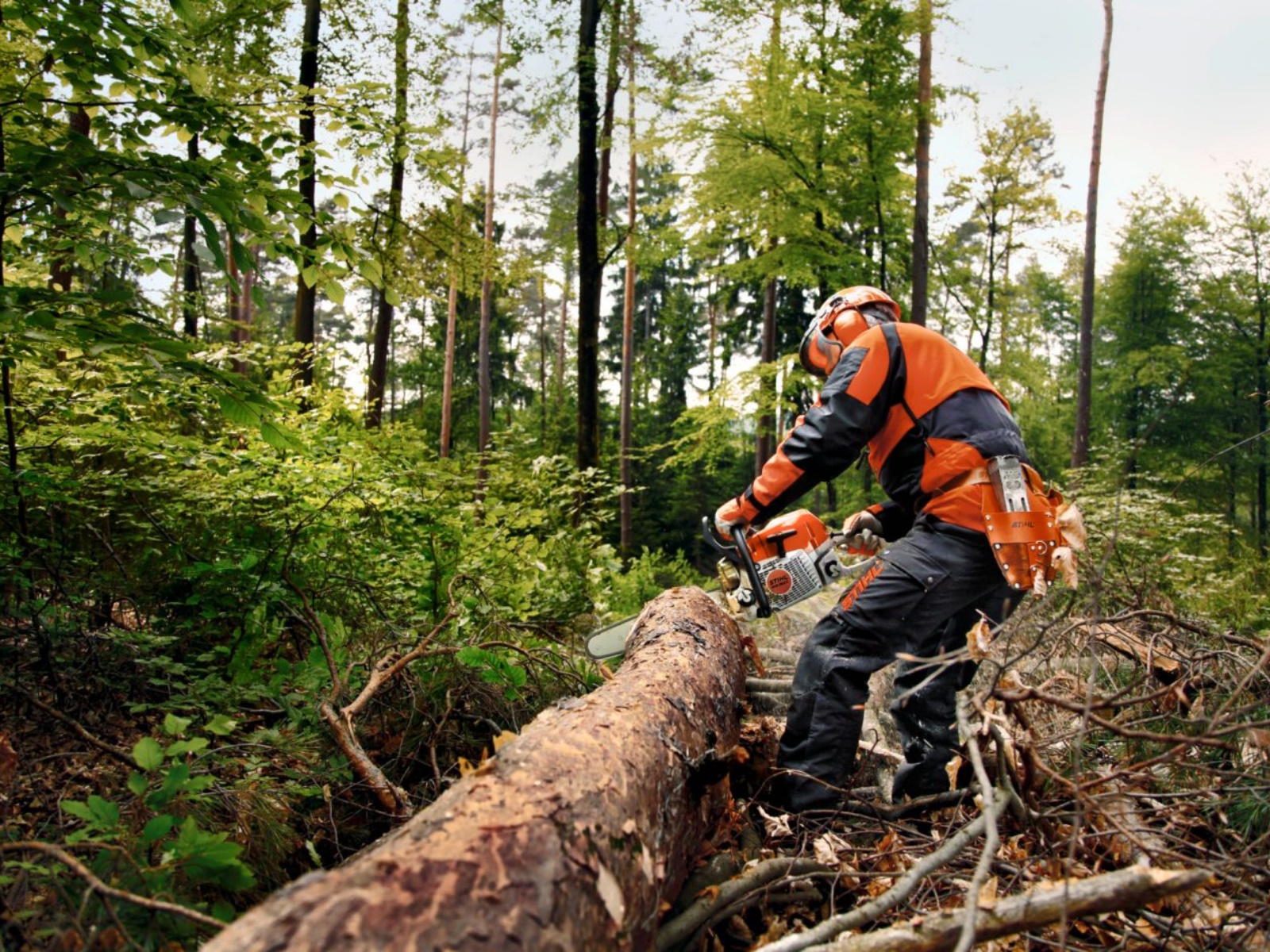 2025 Stihl MS 362 C-M Chainsaw