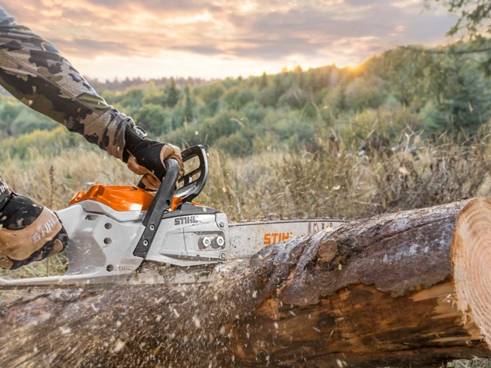 2025 Stihl MSA 300 C-O Chainsaw