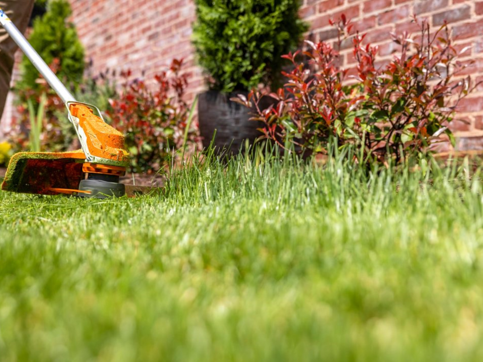 2025 Stihl FSA 86 R Trimmer
