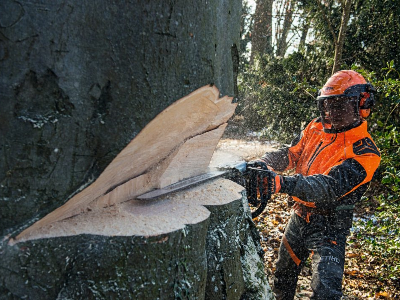 2025 Stihl MS 661 C-M MAGNUM Chainsaw