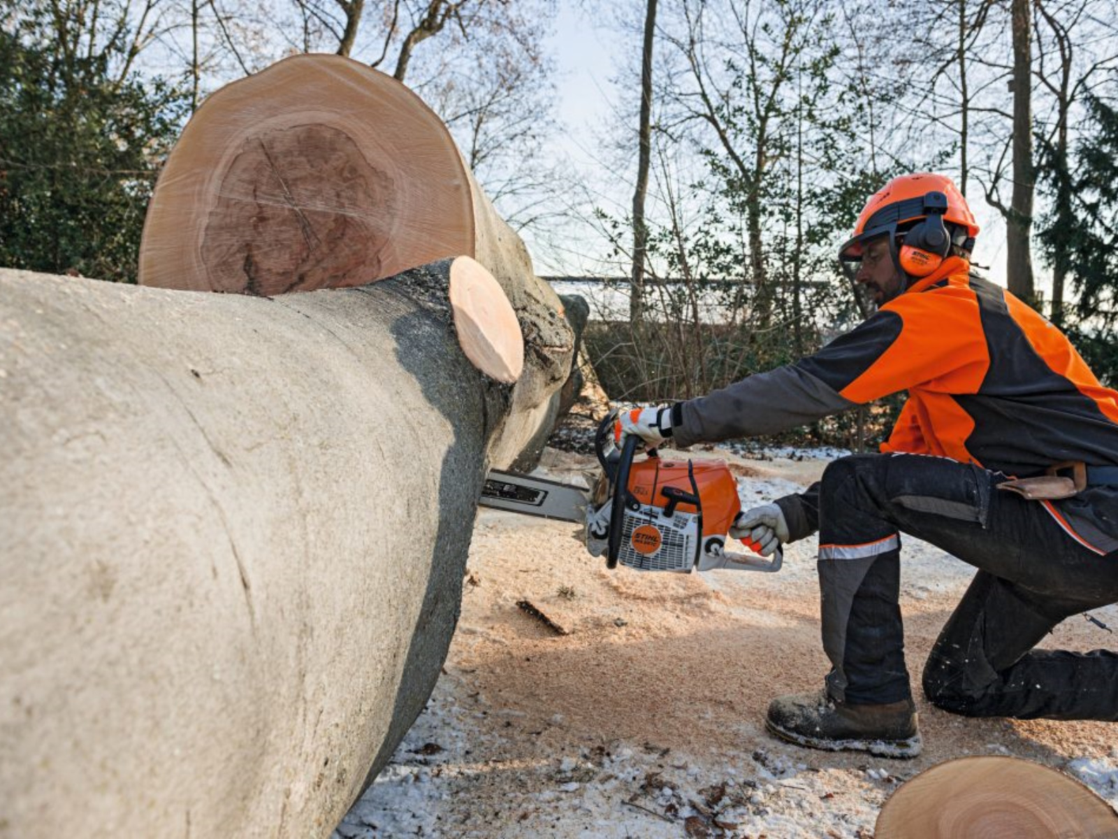 2025 Stihl MS 661 C-M MAGNUM Chainsaw