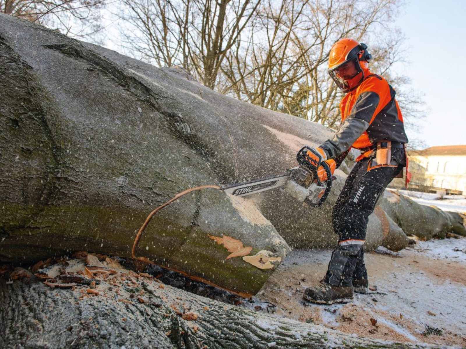 2025 Stihl MS 661 C-M MAGNUM Chainsaw
