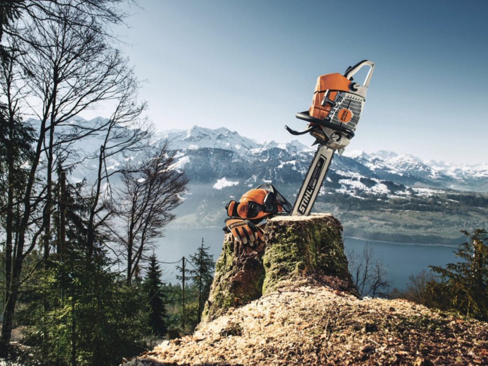 2025 Stihl MS 661 C-M MAGNUM Chainsaw