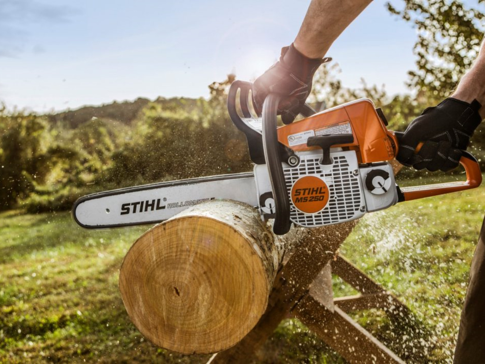 2025 Stihl MS 250 Chainsaw
