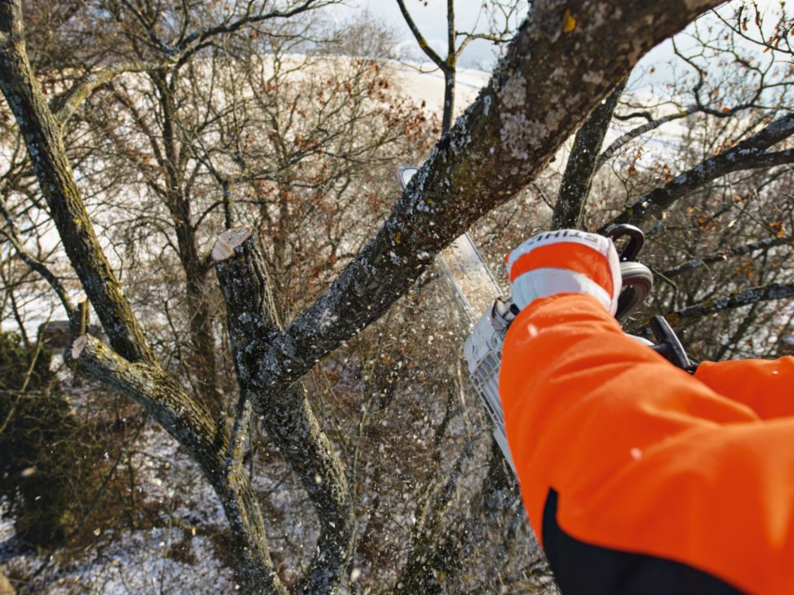 2025 Stihl MS 201 T C-M Chainsaw